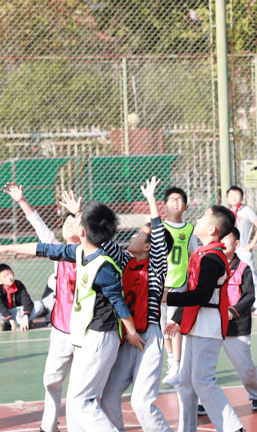 中心官方网站-关于中国队观众热烈欢呼！，Scout迎来七赛季出色发挥全场沸腾不已的信息